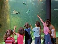 L'Aquarium Marin de Trégastel