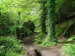 La vallée des Traouïeros à Trégastel