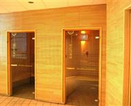 Forum de Trégastel : les saunas