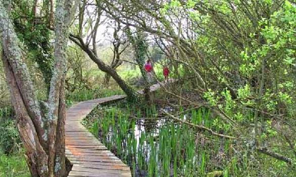 Un espace naturel protégé : les marais du Quellen - Stereden, Village de Chalets