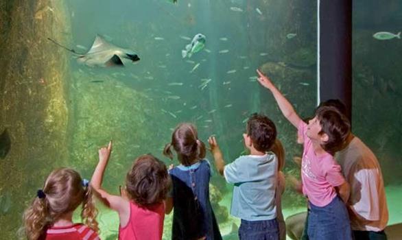 L'Aquarium Marin de Trégastel - Stereden, Village de Chalets