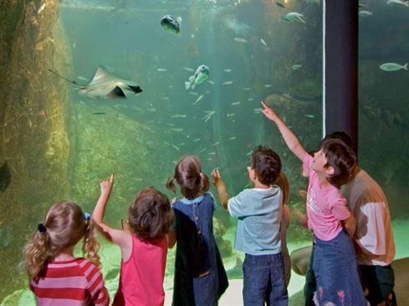 L'Aquarium Marin de Trégastel - Stereden, Village de Chalets