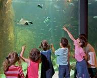 L'Aquarium Marin de Trégastel