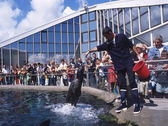 Océanopolis, l'aquarium de Brest - Stereden, Village de Chalets
