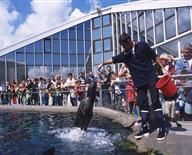 Océanopolis, l'aquarium de Brest