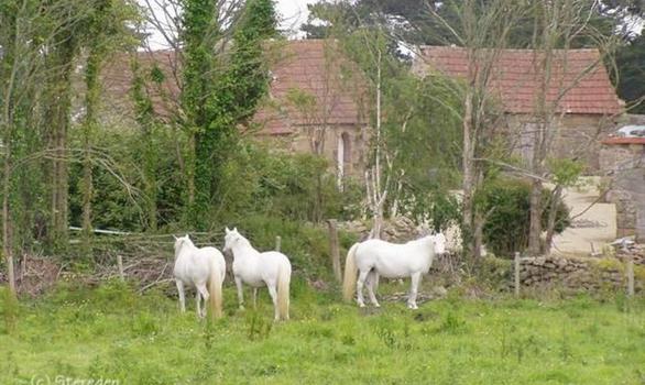 Randonnée à Pleumeur Bodou sur la Côte de Granit Rose - Stereden, Village de Chalets