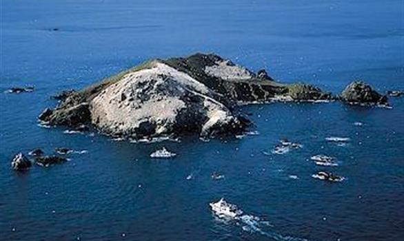 Perros-Guirec : excursion en mer à bord des vedettes des 7 iles - Stereden, Village de Chalets