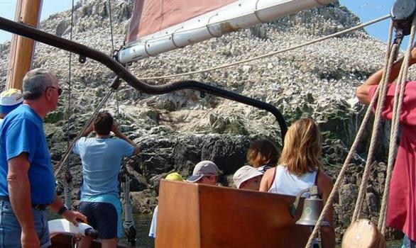 Sortie en mer aux Sept Iles - Stereden, Village de Chalets