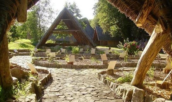 Les vertues des plantes connues par les druides - Stereden, Village de Chalets