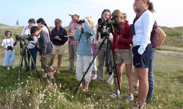 Sorties commentées observation des oiseaux marins à Pleumeur Bodou - Stereden, Village de Chalets