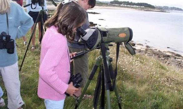 Animations nature pour groupes familles et enfants - Stereden, Village de Chalets
