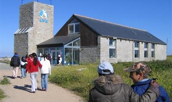 Visiter l'exposition sur la faune littorale et les oiseaux marins de Bretagne - Stereden, Village de Chalets