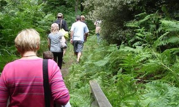 Balades familiales sur les chemins des Côtes d'Armor - Stereden, Village de Chalets
