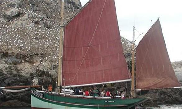 Sorties en mer à la découverte des Fous de Bassan - Stereden, Village de Chalets