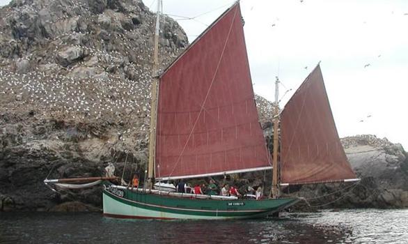 Visite en bateau de la Réserve Naturelle des Sept Iles - Stereden, Village de Chalets