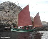 Visite en bateau de la Réserve Naturelle des Sept Iles