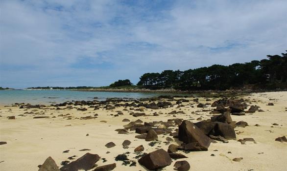Pleumeur-Bodou : plage de Keryvon - Stereden, Village de Chalets
