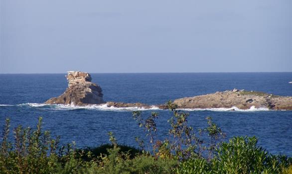 Pleumeur-Bodou : le rocher du Corbeau, à l'ile Grande - Stereden, Village de Chalets