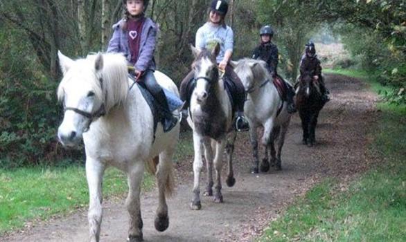 Pleumeur-Bodou : club poney - Stereden, Village de Chalets