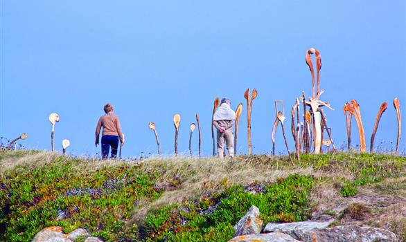 Festival Landart en Bretagne grandes marées septembre - Stereden, Village de Chalets