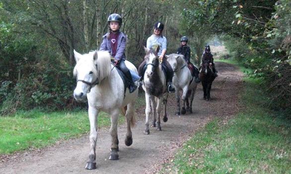 Vacances de Toussaint en Bretagne : balades à poney et cheval - Stereden, Village de Chalets