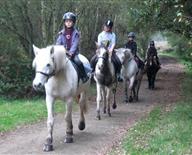 Vacances de Toussaint en Bretagne : balades à poney et cheval