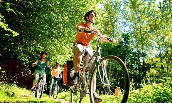 Locations vtt : balades en campagne - Stereden, Village de Chalets