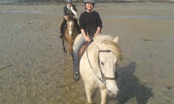 randonnée à cheval ou à poney en bord de mer - Stereden, Village de Chalets