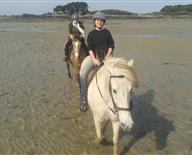randonnée à cheval ou à poney en bord de mer