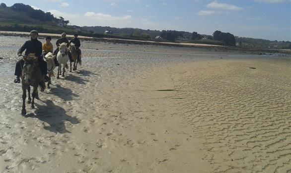 Balades à cheval ou à poney en Bretagne - Stereden, Village de Chalets