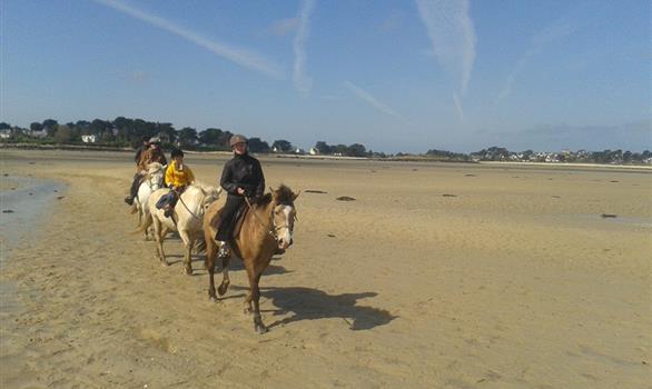 Balades à cheval ou à poney en bord de mer - Stereden, Village de Chalets