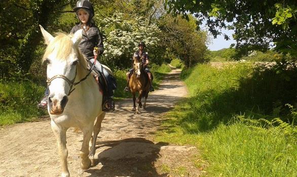 Balades à cheval ou à poney - Stereden, Village de Chalets