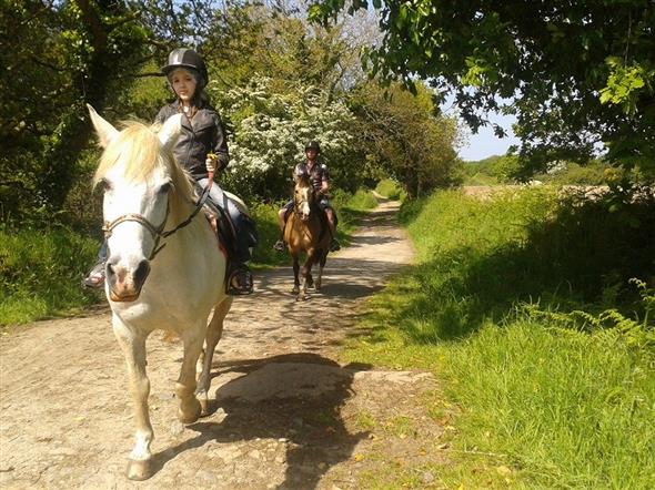 Balades à cheval ou à poney - Stereden, Village de Chalets