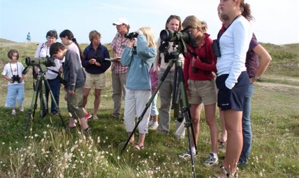 Sortie nature ornithologie : observation des oiseaux marins à la station LPO de l'Île-Grande - Stereden, Village de Chalets
