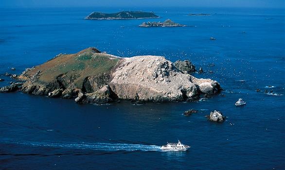 Activité de groupe : sortie en bateau aux 7 îles de Perros-Guirec - Stereden, Village de Chalets