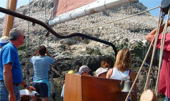 Activité de groupe : sortie en bateau à bord d'un voilier traditionnel - Stereden, Village de Chalets