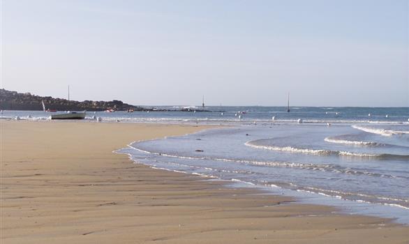 Grandes marées en Bretagne : Pleumeur-Bodou, l'île Grande - Stereden, Village de Chalets