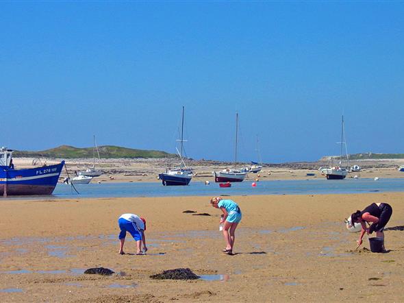 Grandes marées en Bretagne : pêche à pied, animations - Stereden, Village de Chalets
