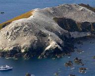 Réserve naturelle des Sept-Îles de Perros-Guirec: l'île Rouzic, 