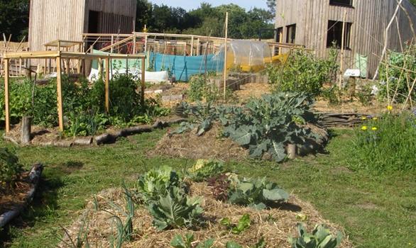 Potager bio, énergies renouvelables, ... - Stereden, Village de Chalets