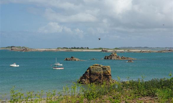 Plougrecant, la Côte des Ajoncs - (c) Stereden - Stereden, Village de Chalets
