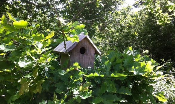 Nature  - Stereden, Village de Chalets