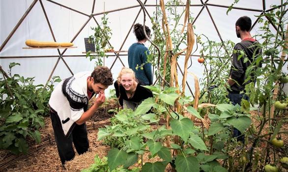 Potager biologique - Stereden, Village de Chalets