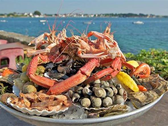 Un plateau de fruit de mer, à peine sorti de l'eau ! - Stereden, Village de Chalets