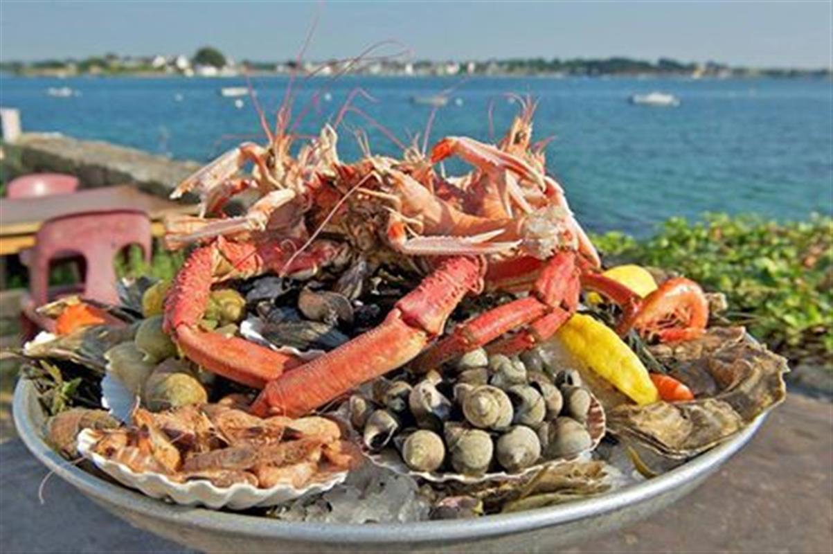 Fruits de mer, homards, noix de saintjacques... Les activités et