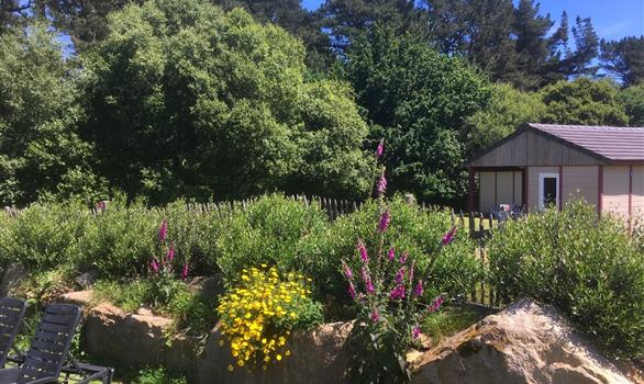 Gite Pleumeur Bodou, Cote de Granit Rose - Stereden - Stereden, Village de Chalets