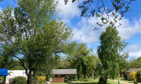 Les voitures n'entrent pas dans le parc (sauf handicap) - Stereden, Village de Chalets