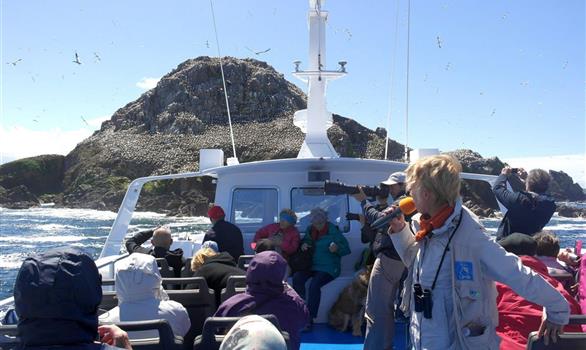 Activité de groupe : sortie en mer aux 7 îles commentée par la LPO - Stereden, Village de Chalets