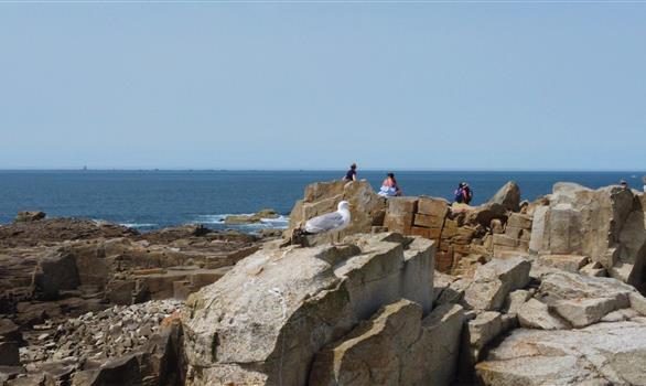 L'île Grande, en Pleumeur-Bodou - Stereden, Village de Chalets