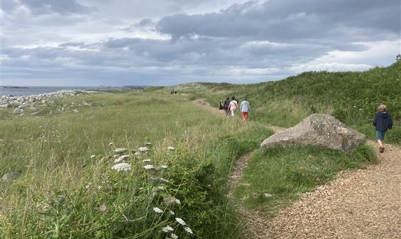 L'Île-Grande, en Pleumeur-Bodou : balade autour de l'île - Stereden, Village de Chalets